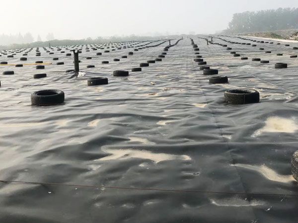 湖南長(cháng)污水處理廠(chǎng)土工膜工程